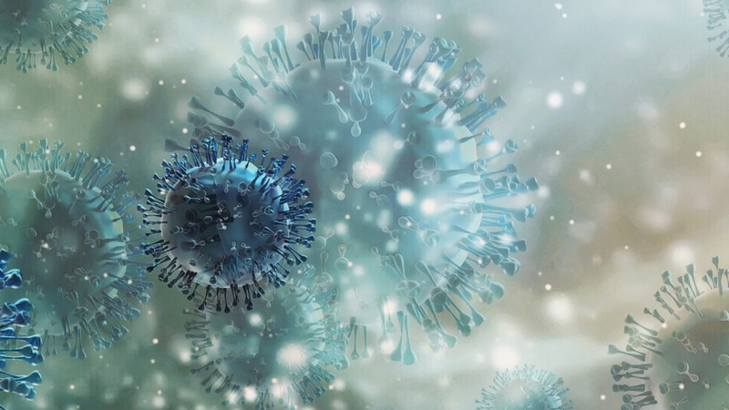 29 нови случая на COVID 19 са били регистрирани през последното