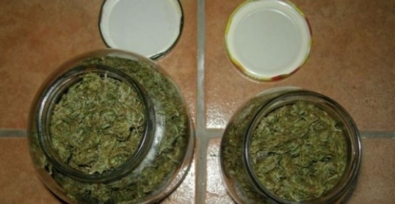 Полицията е отркила трева в къща в Криводол съобщиха от