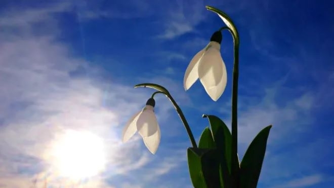 Най топло в неделния ден е било времето в Пловдив Сандански и