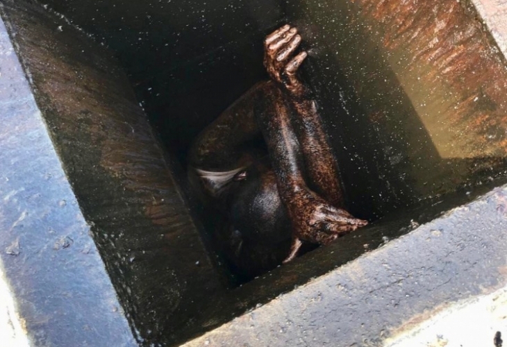 Разбойник реши да надхитри полицията но попадна в капан което