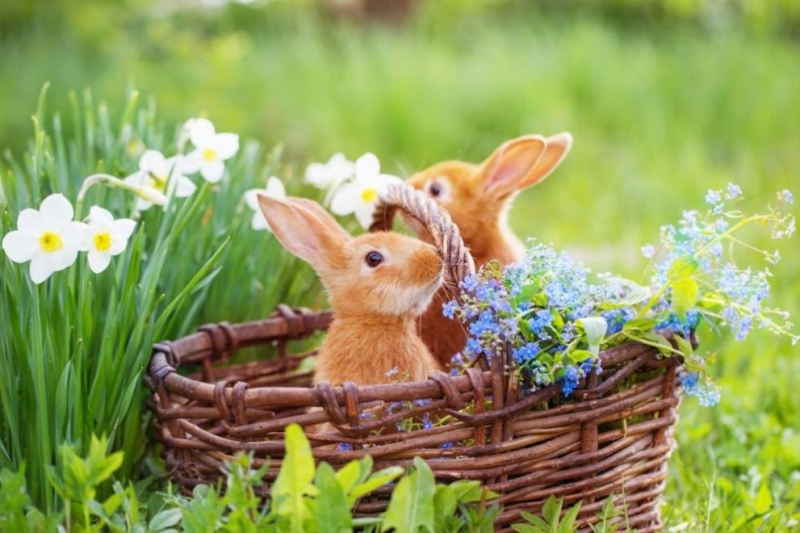 През нощта ще бъде предимно ясно и почти тихо Минималните