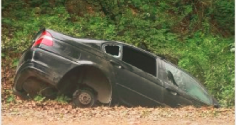 Повече от куриозна кражба разплетоха служителите на реда в Пещера