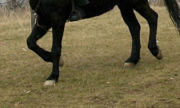 Петгодишно момченце от гурковското село Паничерево е настанено в старозагорската