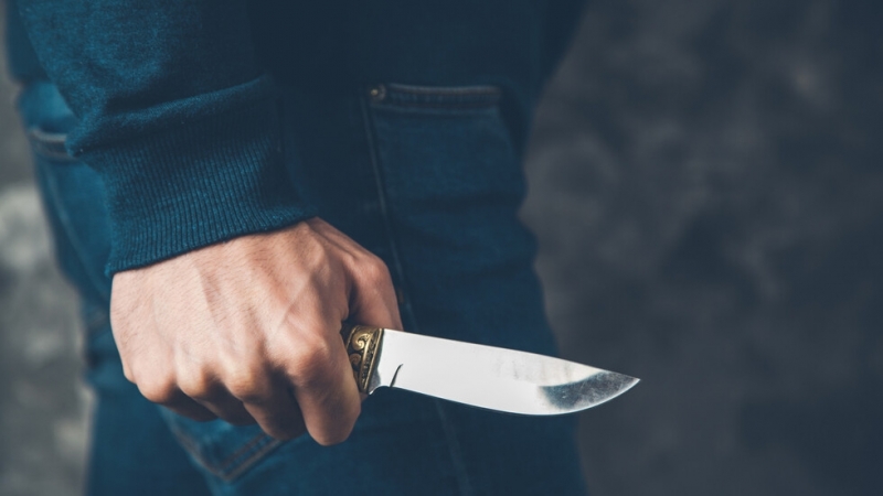 Двама мъже са били намушкани в градския парк в Добрич