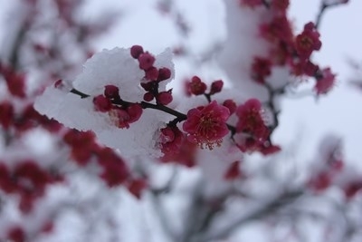 Предстои затопляне но до края на седмицата ще си е