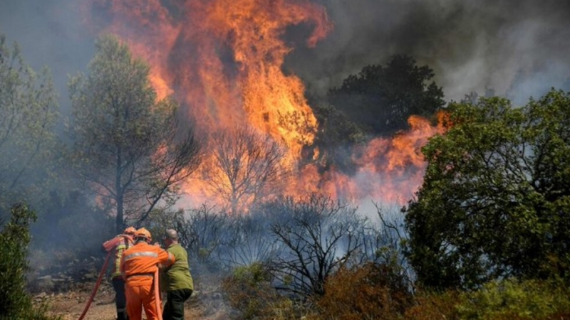 Пожар бушува в планината край Рилския манастир
