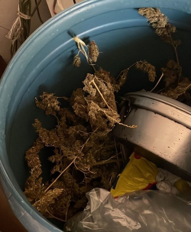 Специализирана операция срещу наркоразпространението е осъществена днес на територията на