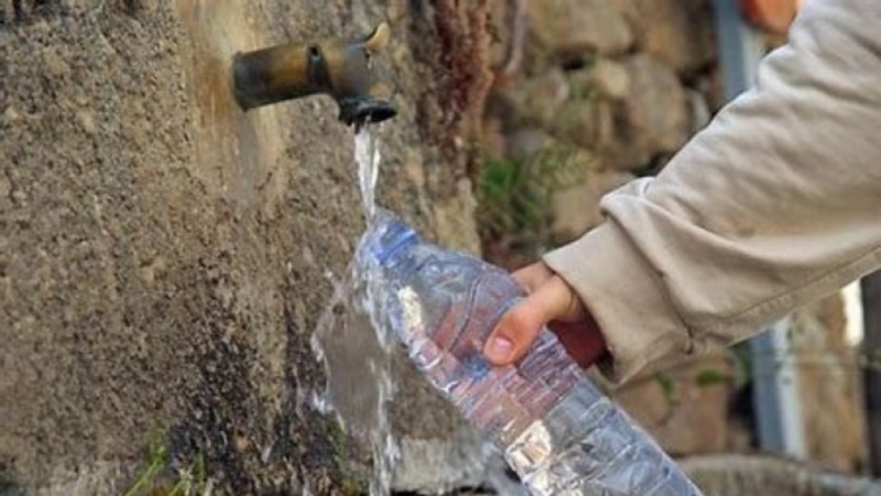 Временният кметски наместник на мездренските села Лик и Ослен Криводол