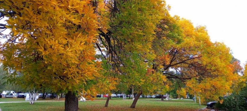 През деня ще преобладава слънчево време Ще духа слаб до