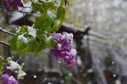 Днес на много места ще продължи да вали сняг или