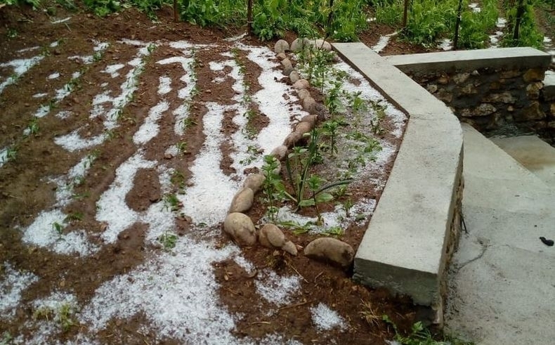 Градушката е унищожила голяма част от селскостопанската продукция в село