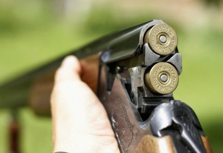 Неизвестен гърми с въздушна пушка по домашни любимци в центъра