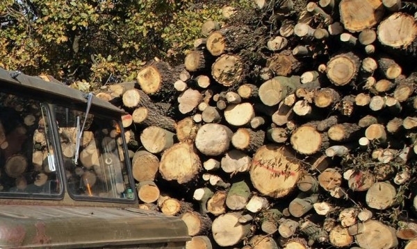 Криминалисти от Районното управление на МВР в Монтана са открили