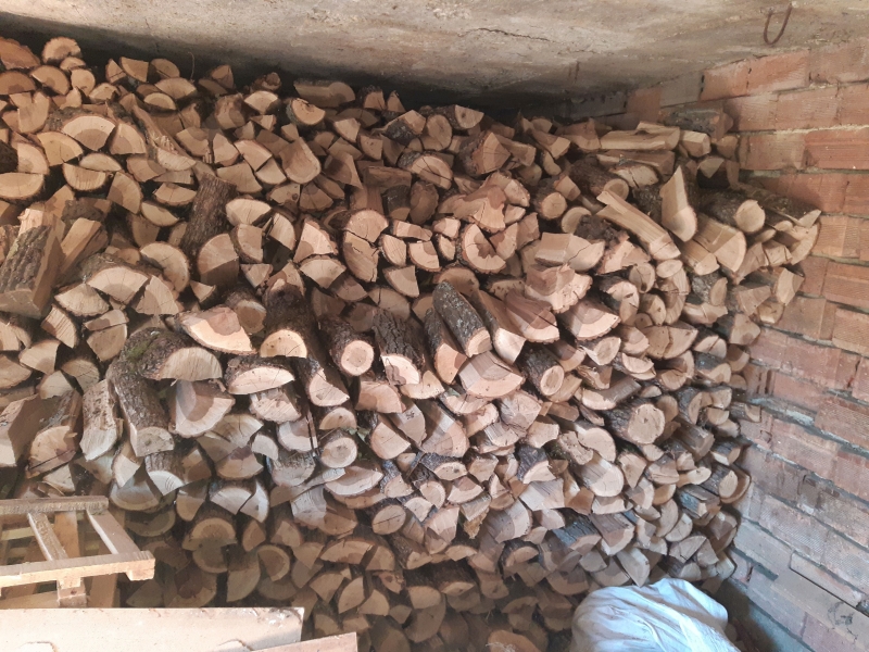 НАП обяви на търг дърва за огрев, иззети в полза