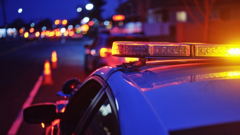 Служители на реда от полицейските управления в Пазарджик и Пещера задържаха