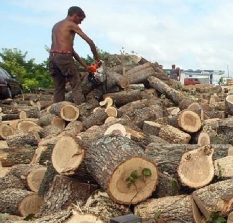 Двама врачани да били измамени от мним доставчик на дърва