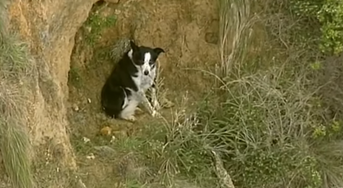 Три часа спасители в Австралия помагаха на заседнало на скала
