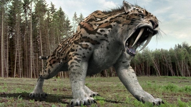 Община Вършец обяви две свободни работни места за длъжността водач