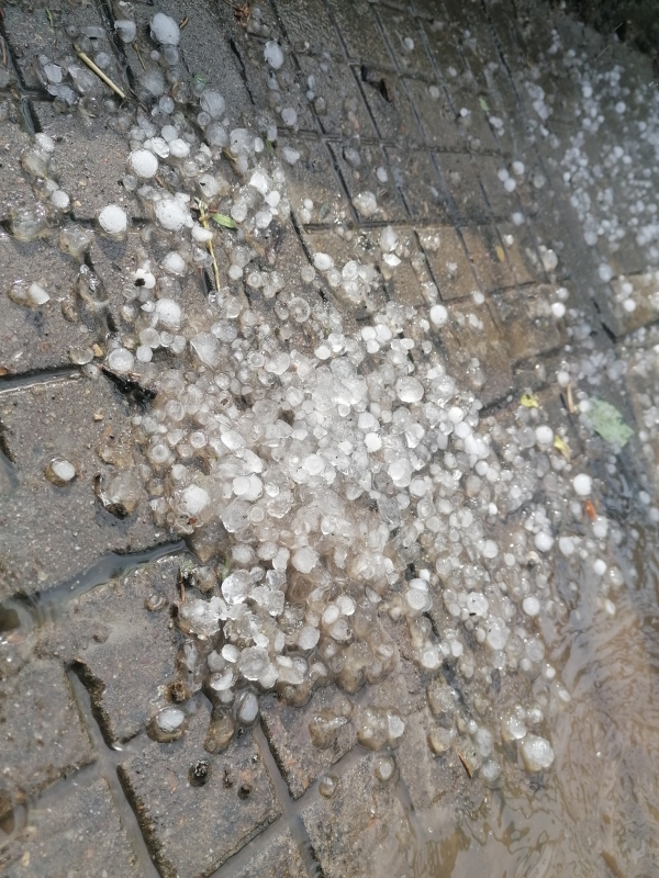 В следобедните часове днес на много места в Северозападнала България