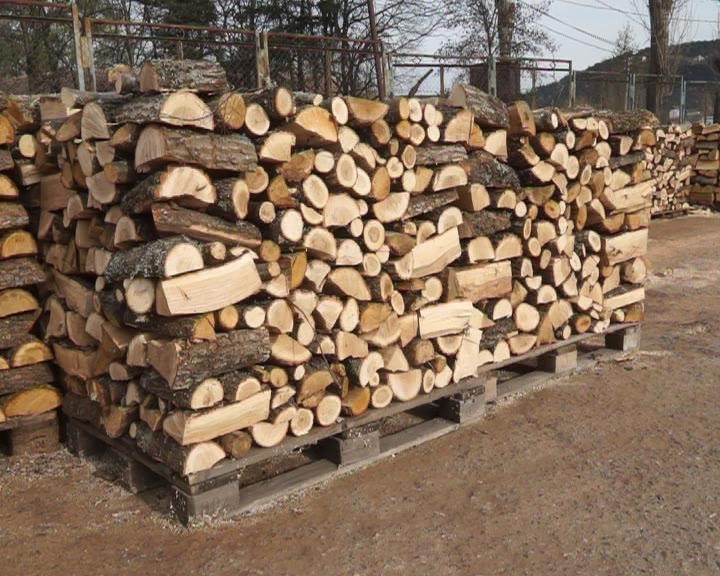 Почти 7 хиляди души във Врачанско са подали до момента