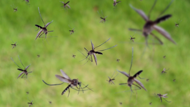 Правителството одобри финансиране в размер до 2 5 млн лв по