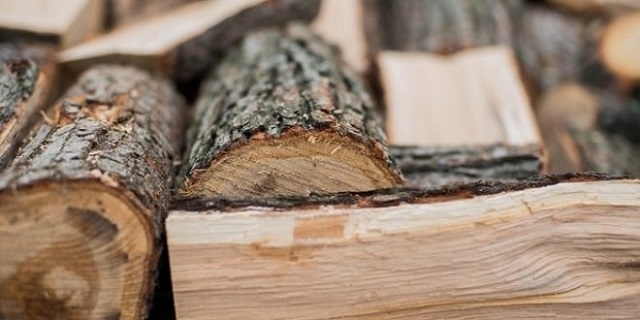 Намериха и иззеха незаконни дърва от дома на дядо в монтанско село