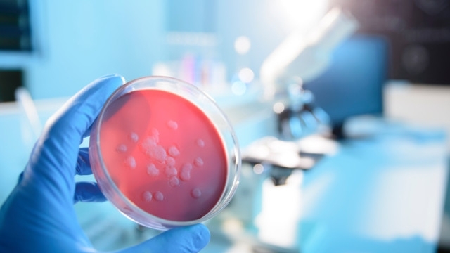 Дете от Айдахо Съединените щати се възстановява от чума предадоха