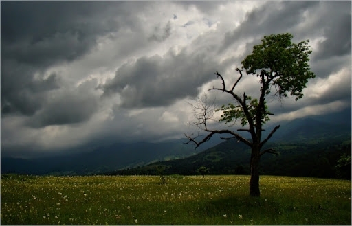 Облачността която очаквахме от тази нощ налази София и започна