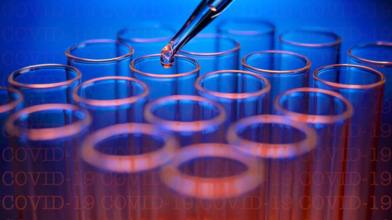 Във Великобритания стартира програма за обучаване на кучета които да