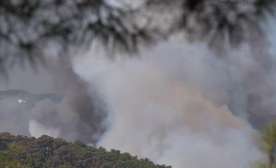 Почти всички от 98 те огнища на горски пожари в Турция