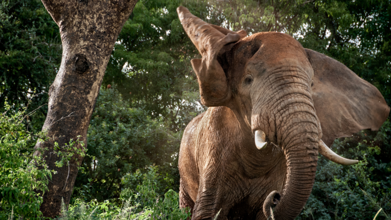 Колумбийски изследовател работещ за американски университет е починал в неделя