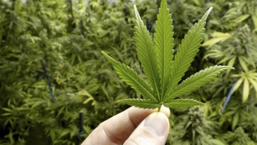 Американските регулатори одобриха първото лекарство в историята на фармацевтичната индустрия