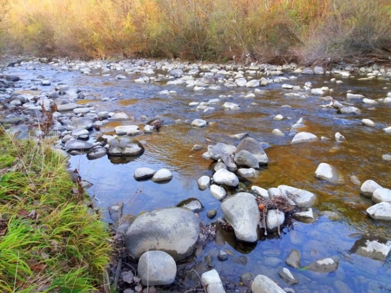Европейската комисия съобщи че предявява иск срещу България и Румъния