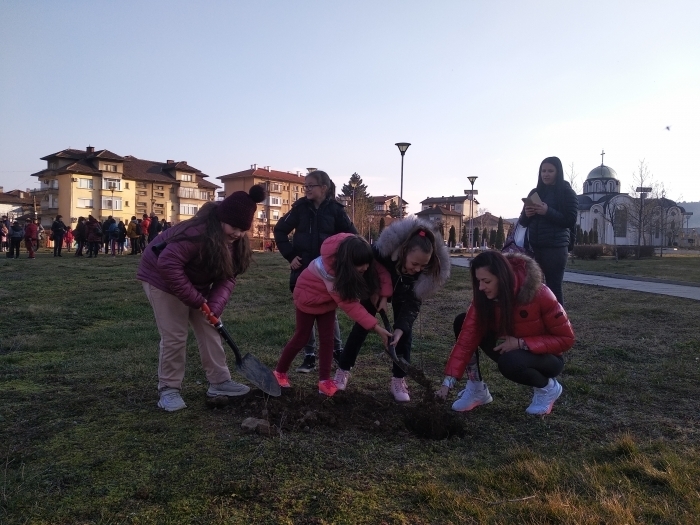 Облагородиха с още 22 брезички парк Свети Дух в Монтана