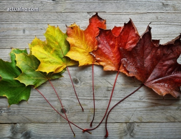Днес ще преобладава слънчево време с временни увеличения на облачността