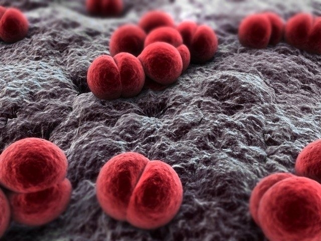 Внимание! Засякоха случай на вирусен менингит във Враца, ето какви още болести върлуват