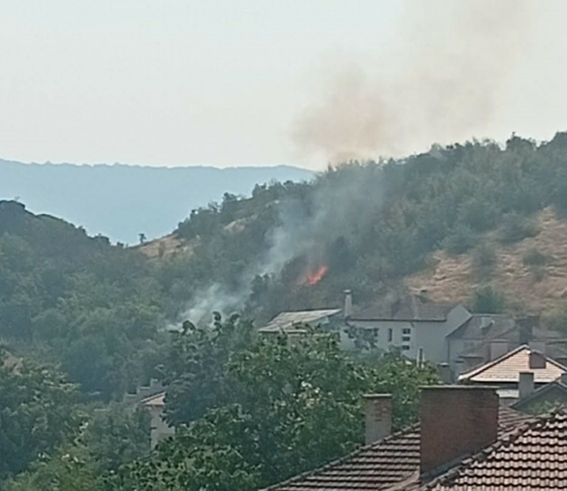 Опасност във въздуха! Пожарът в Белоградчик пламна наново, затваряйте прозорците /снимка/