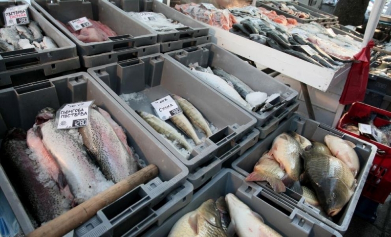 Природозащитници призовават за устойчив избор на риба за трапезата на Никулден