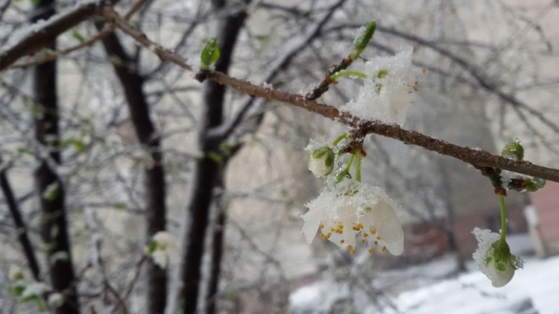 Пореден средиземноморски циклон се вихри над Балканите Заради снеговалежите и