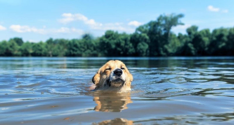 Днес ще бъде предимно слънчево Още преди обяд над Западна