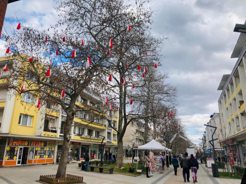 Стартира украсяването на централния булевард Никола Войводов във Враца съобщиха