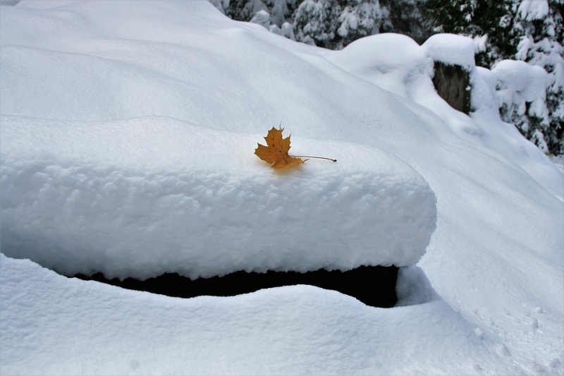 17 см вече е снежната покривка в района на Чипровци