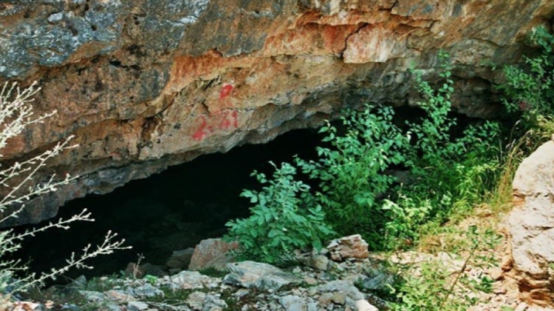 Министърът на околната среда и водите Борислав Сандов издаде заповед