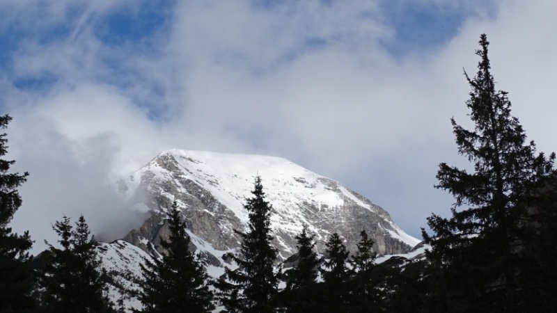 Продължава издирването на 69 годишния турист който изчезна в планината Пламен