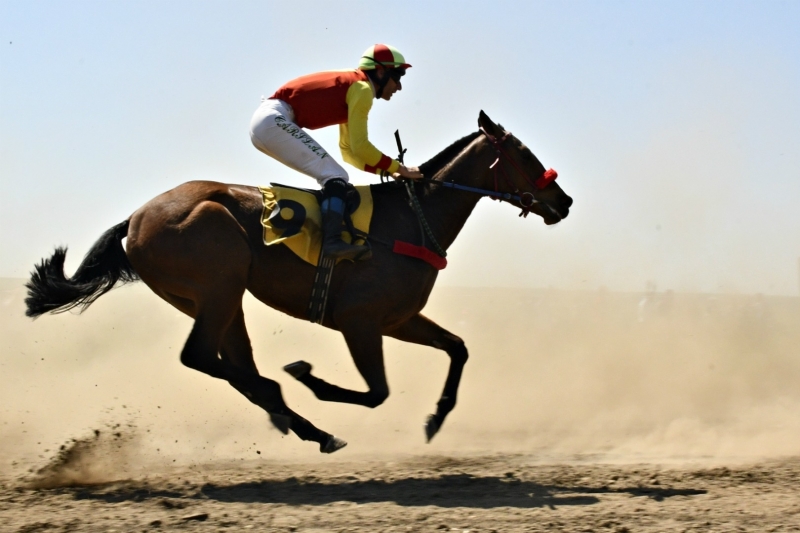 За първи път врачанското село Нефела е домакин на конни