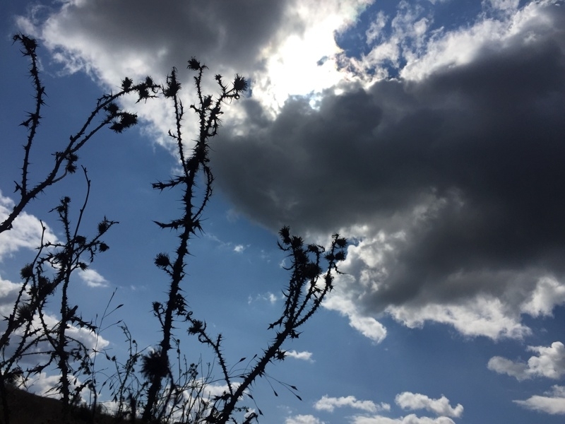 Днес ще има променлива често значителна облачност На места главно