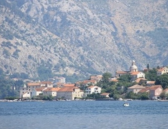 Националният координационен съвет за заразни болести на Черна гора продължи