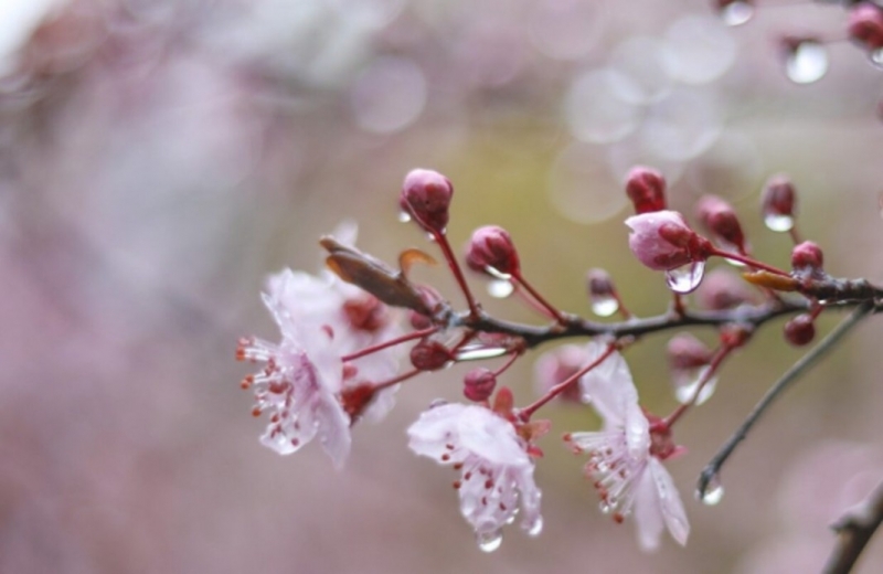 Днес през деня облачността ще се увеличи до значителна съобщиха