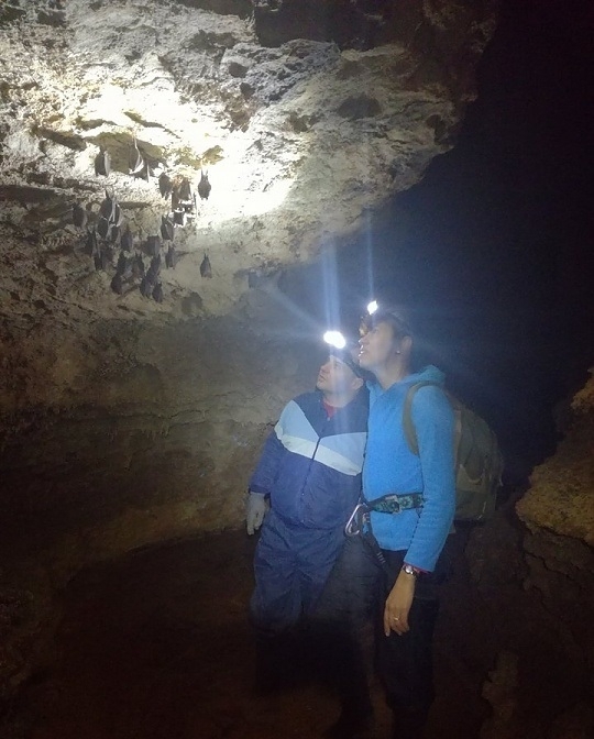 През месец януари експерти от Дирекция на Природен парк Врачански