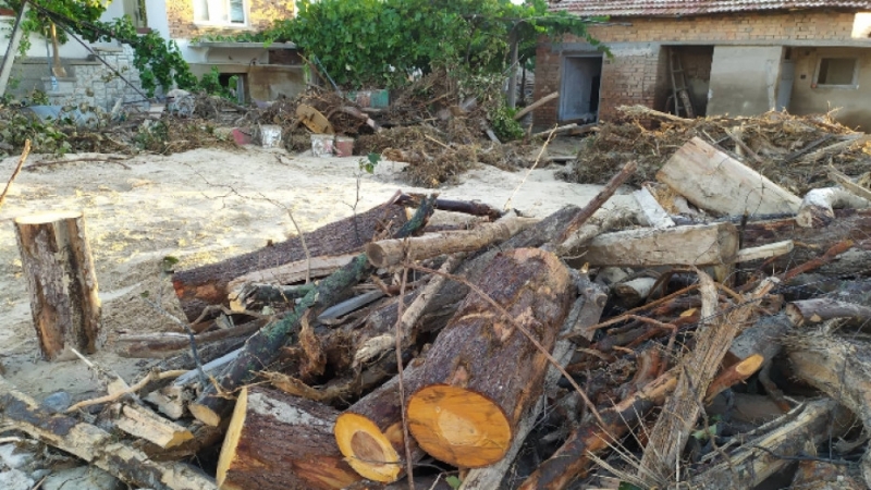 Служители на реда спипаха бракониери на дърва във Видин съобщиха